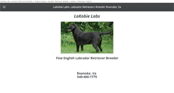 Desktop Screenshot of lakobielabs.com