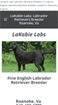 Mobile Screenshot of lakobielabs.com