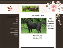 Tablet Screenshot of lakobielabs.com
